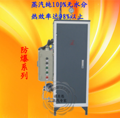 防爆定制18KW电加热蒸汽发生器