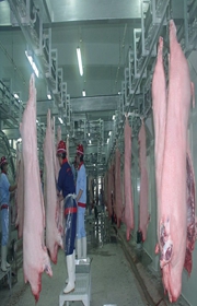 湖北武穴蒸汽发生器