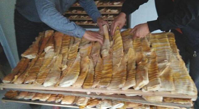 农产品干燥用蒸汽发生器